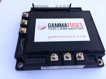 Gamma media 1