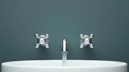 Wags Plumbing media 1