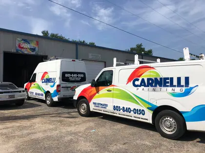 Carnelli Painting media 1