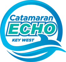 Catamaran Echo - Downtown logo