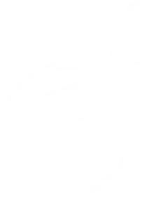 Bossie Clara - Therapeutic Oasis the Palm logo