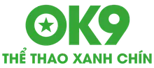 Built Right Roofing logo