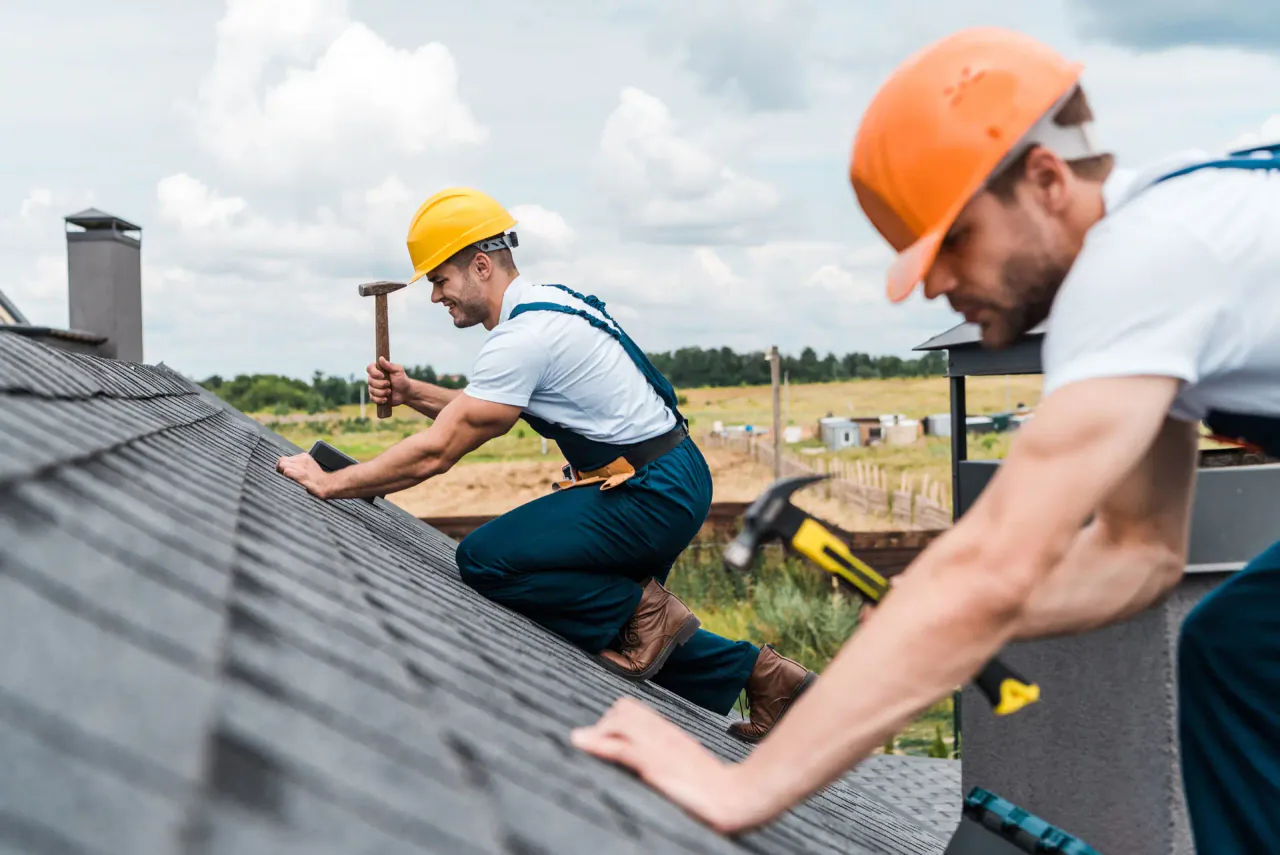 Blue Spruce Roofing and Exteriors profile media