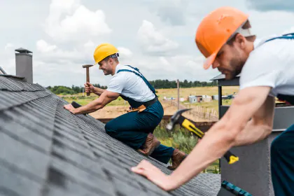 Blue Spruce Roofing and Exteriors media 1