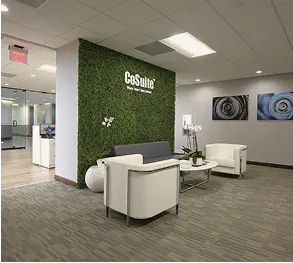 CoSuite media 1
