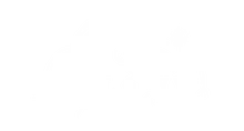 Salt and Ivy Photography + Films logo