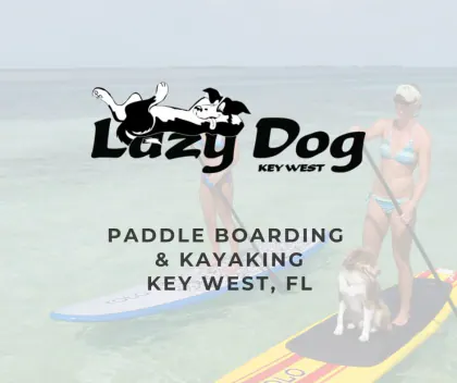 Lazy Dog Adventures logo