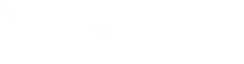 Seagull Electronics logo