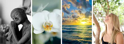 Palm Beach Healing Arts media 1