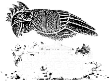 Green Parrot Bar logo