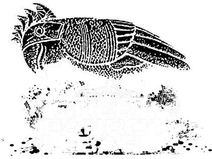 Green Parrot Bar media 1