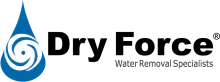 Dry Force logo