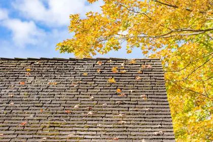 WJM Roofing media 1