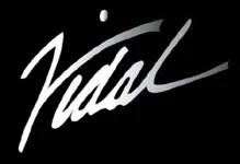 Vidal Wedding Planner/Photographer logo