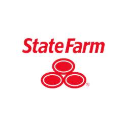 Vivian Suarez - State Farm Insurance Agent media 1