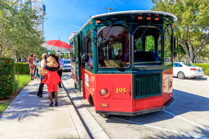 Profile image for Mollys Trolleys, Travel & Hospitality, West Palm Beach, FL