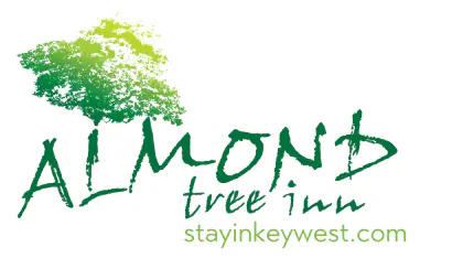 Almond Tree Inn media 1