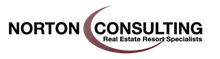 Norton Consulting logo