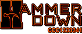 Hammer Down Roofing logo