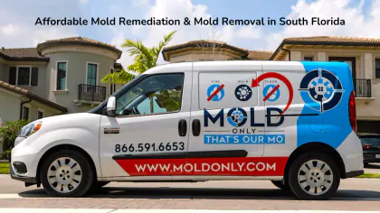 Mold Only media 1