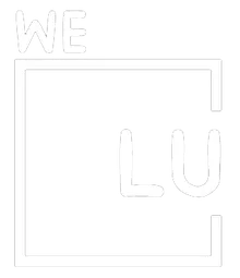 We Level Up Palm Beach FL logo