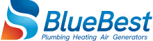 Blue Best logo