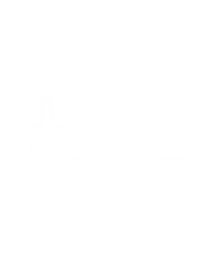 Nevada Pro Painting LLC logo