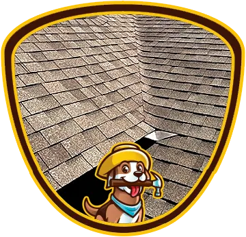 Salty Dog Roofing & Siding media 1