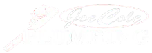 DiMartino Plumbing logo