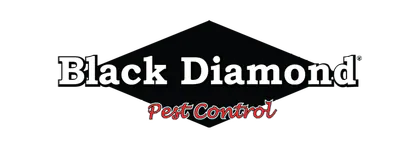 Black Diamond Pest Control media 1