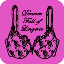 Drawer Full Of Lingerie logo