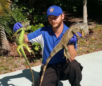 Rodent Control West Palm Beach media 1