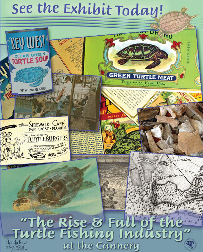 Key West Turtle Museum business-published photo used for identity on the RealReviews profile.