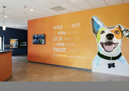 Dogtopia of Boca Raton media 1