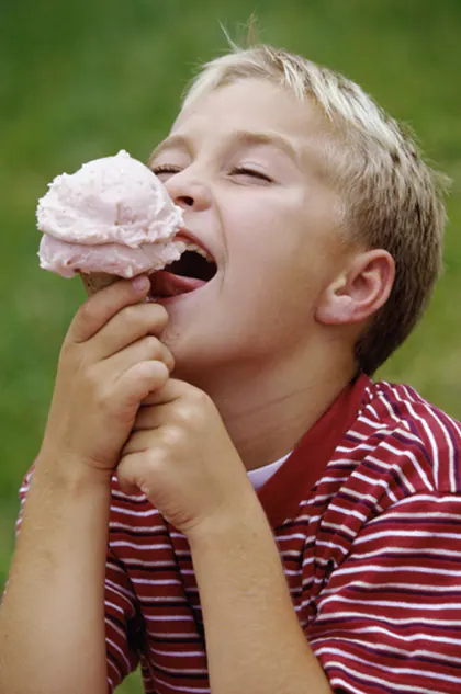 Palm Beach Ice Cream media 1