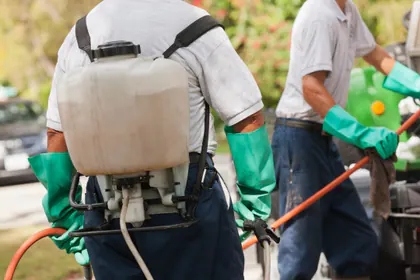 Keys Pest Control media 1