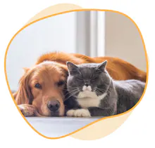Fetch! Pet Care logo