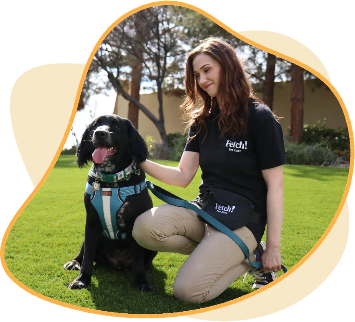 Fetch! Pet Care profile media
