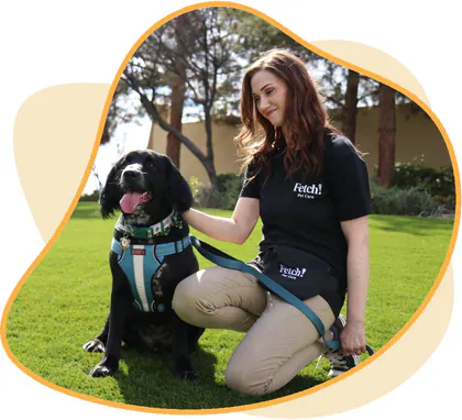 Fetch! Pet Care media 1