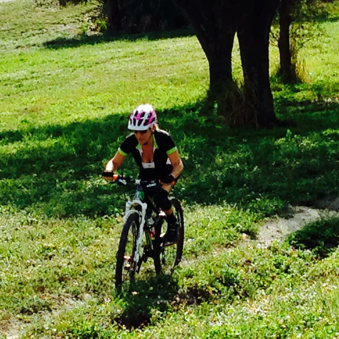 Bicyclery profile media
