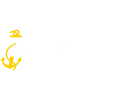 Navy Exchange Main logo