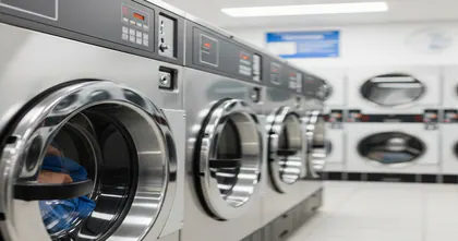 Laundry Maid media 1