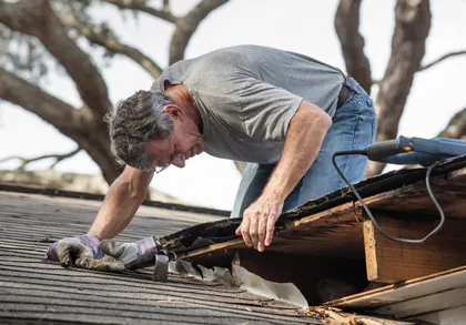 Miceli Roofing media 1