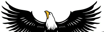 Eagle Roofing & Construction media 1
