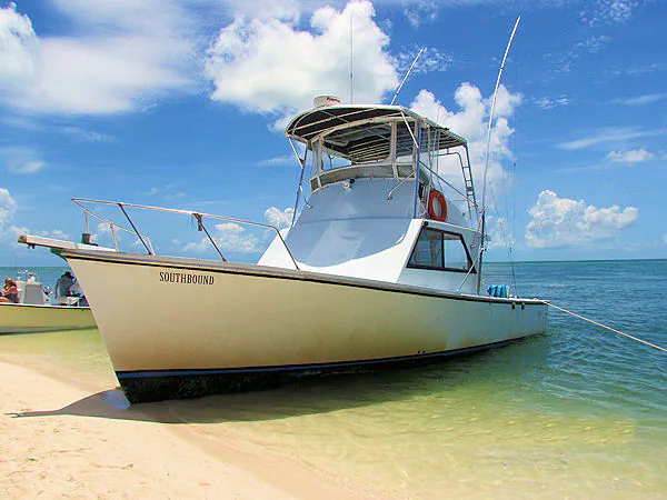 Southbound Sportfishing business-published photo used for identity on the RealReviews profile.