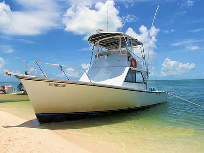 Southbound Sportfishing logo