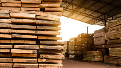 Mead Lumber of Butte media 1