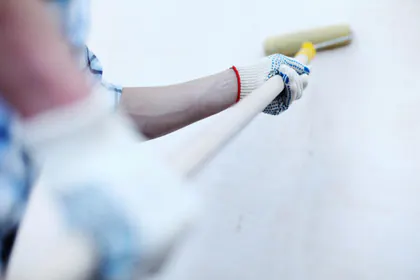 Fritz painting service media 1