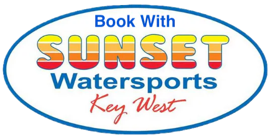 Sunset Watersports business-published photo used for identity on the RealReviews profile.