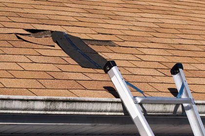 Mr. Mike's Professional Painting Services media 1